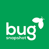 bug-snapshot icon